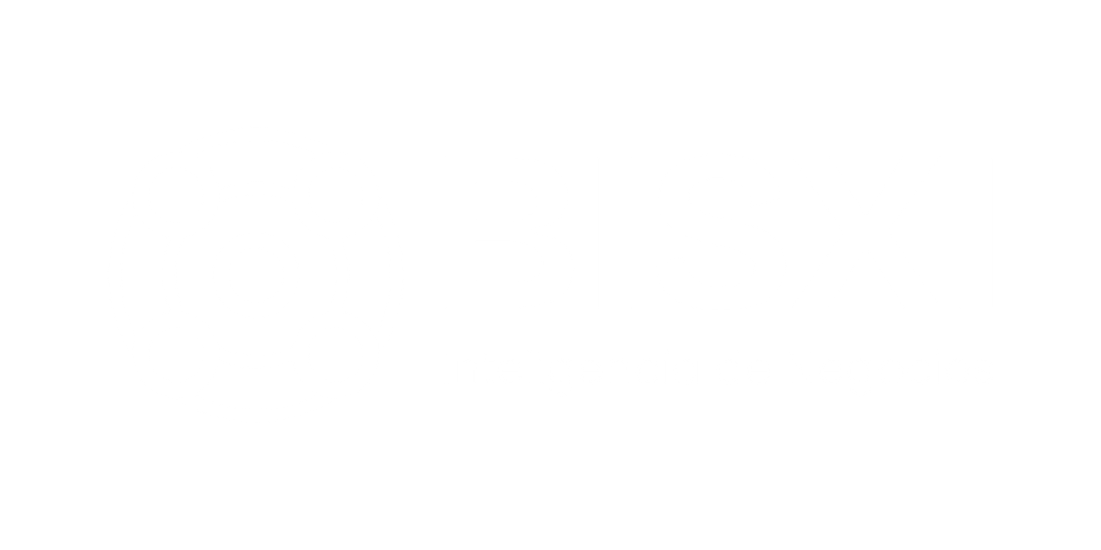 BISXI Inteligencia de Negocios